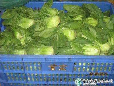 食材配送中的裝卸搬運 效率與安全的關鍵環節